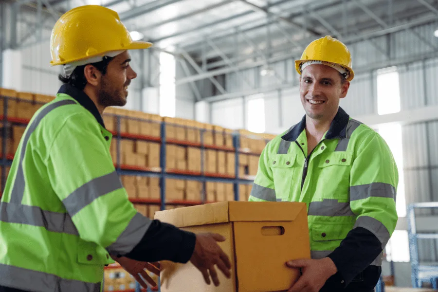 Professional Manual Handling RAMS